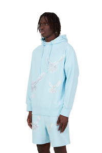 SINGING DOVES SKY BLUE HOODED SWEATER